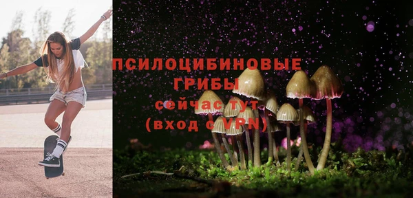 спиды Белоозёрский