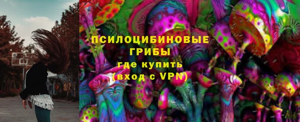 2c-b Белокуриха