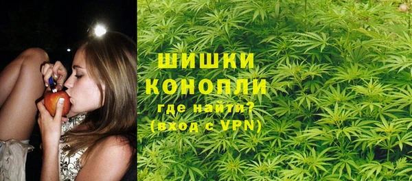 2c-b Белокуриха