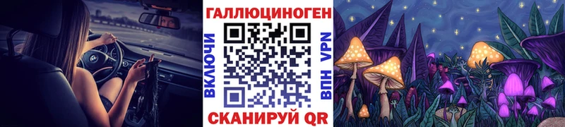 ссылка на мегу зеркало  Ершов  Псилоцибиновые грибы прущие грибы 